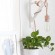Metallic Pendant Sconce