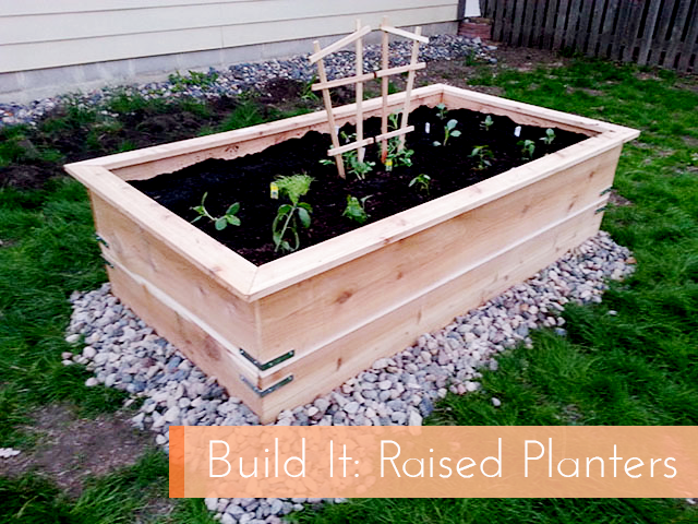 mainplanter