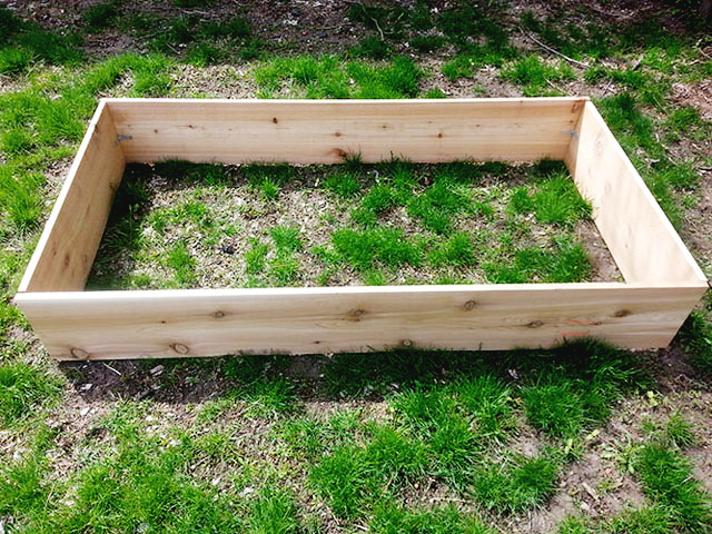 planter1