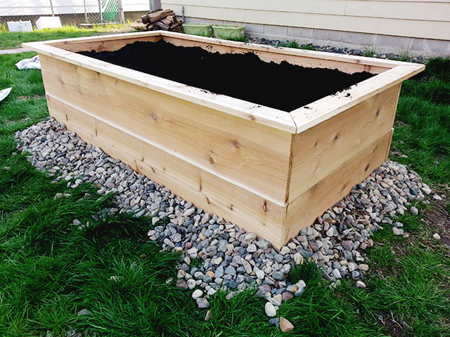 planter12