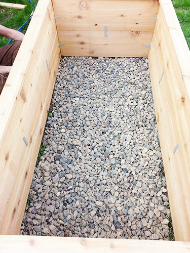 planter7
