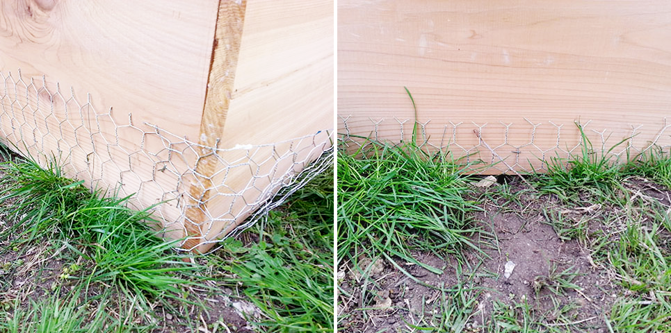 planter8long