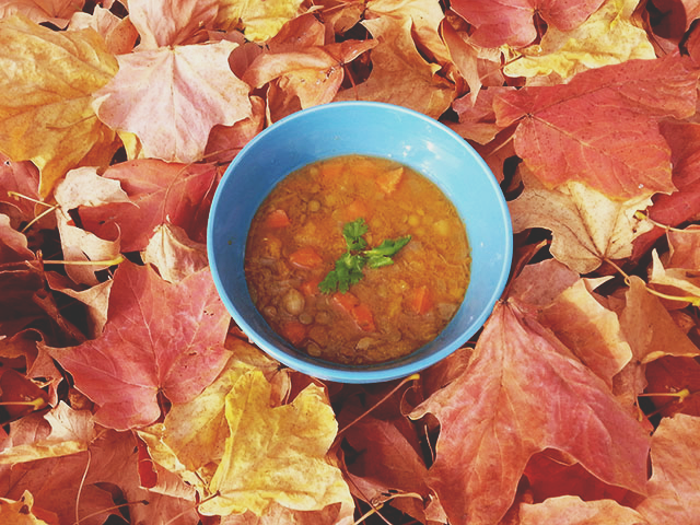 _1stew