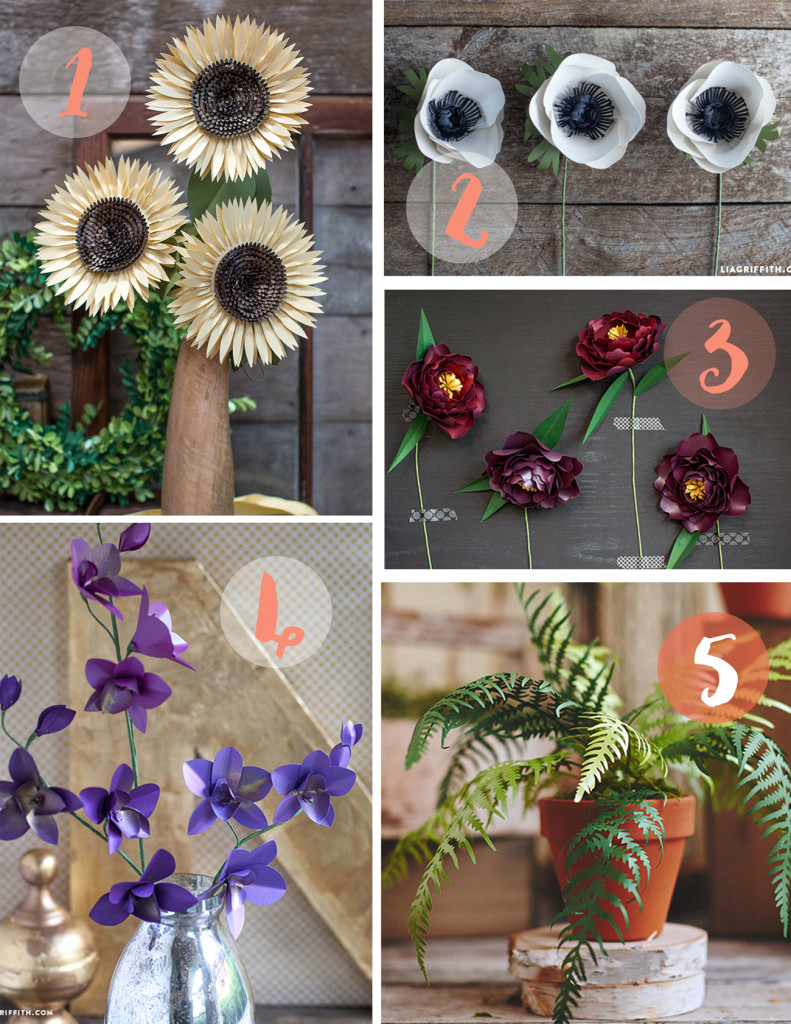 flower-round-up